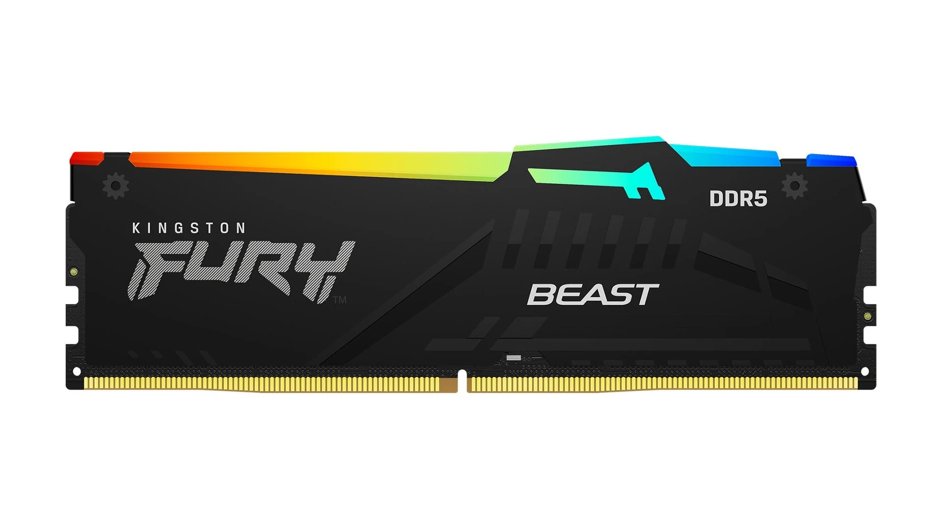 A single Kingston Fury Beast DDR5 memory module is shown in a side profile, highlighting its black color with rainbow-colored RGB lighting and the branding 'KINGSTON FURY' and 'BEAST'.